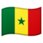 🇸🇳